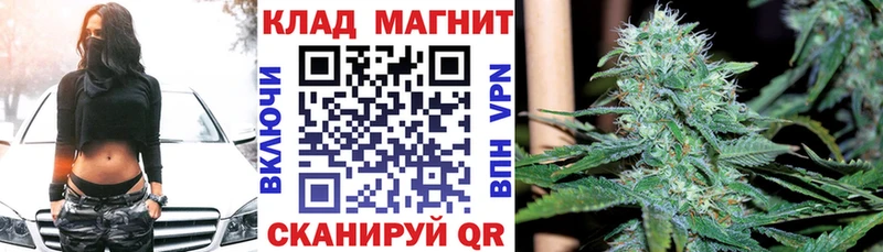 Что такое Осинники Конопля  Alpha-PVP  Гашиш  Псилоцибиновые грибы  Меф мяу мяу 