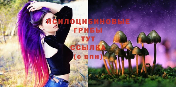 герыч Алзамай